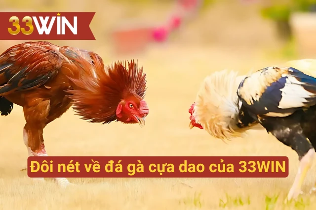 Đôi nét đá gà 33WIN