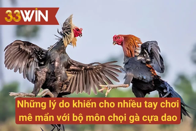 Lý do nhiều tay chơi mê mẩn